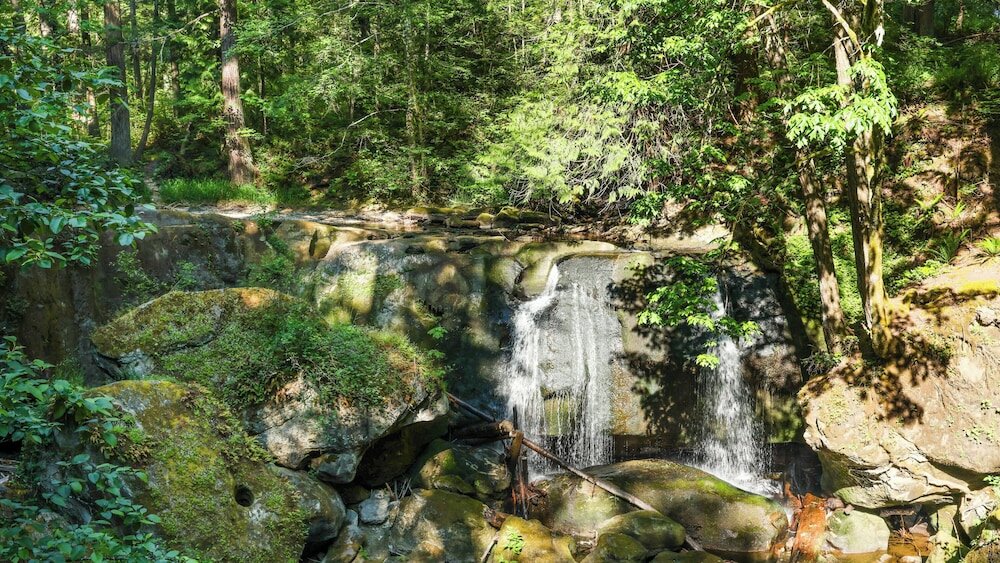 Фото Holiday Inn Express Bellingham, an Ihg Hotel