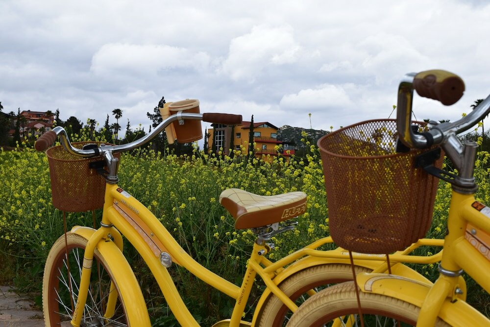 Фото Hotel Boutique Rancho Tecate