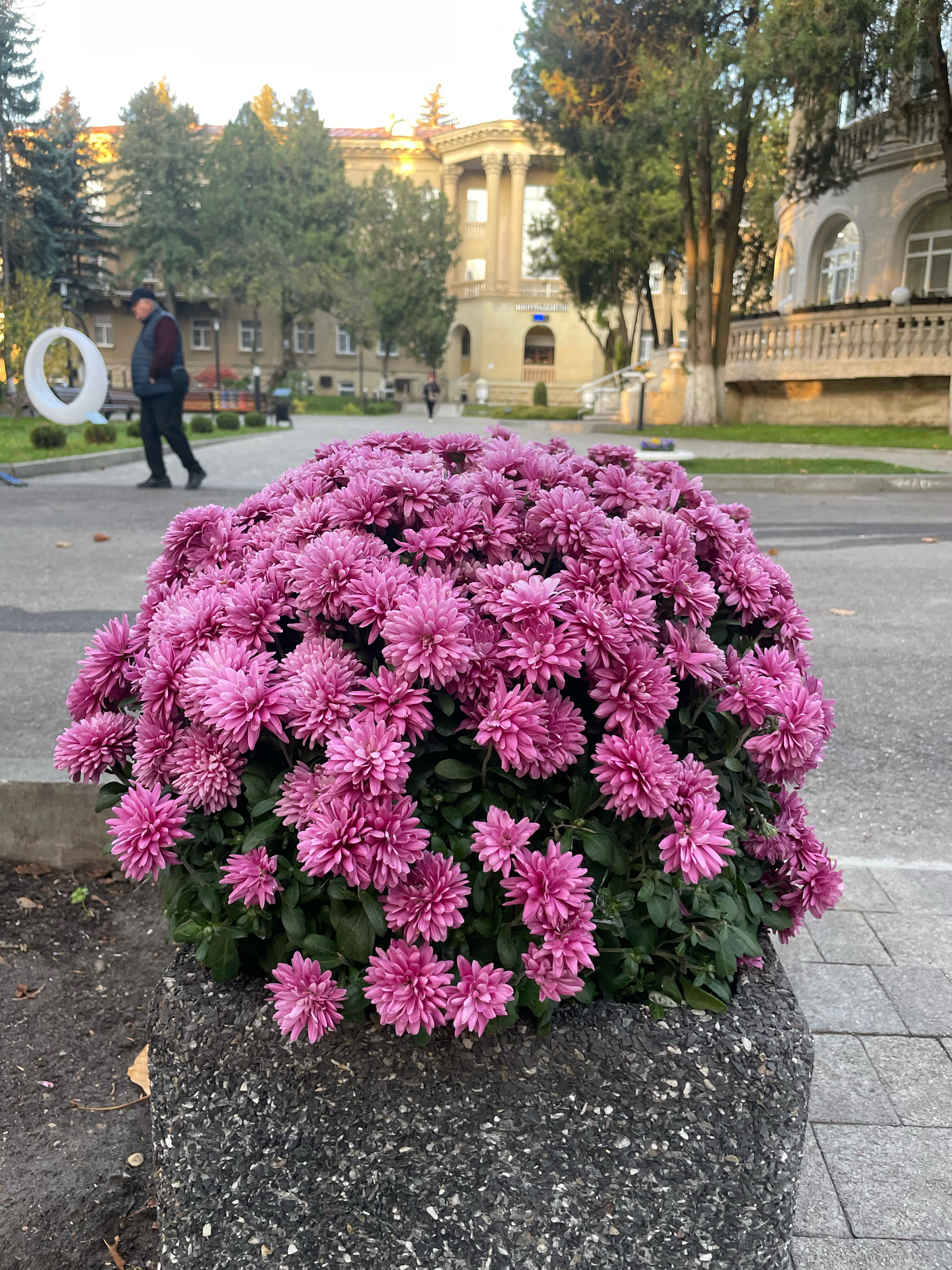 Фото Шахтер