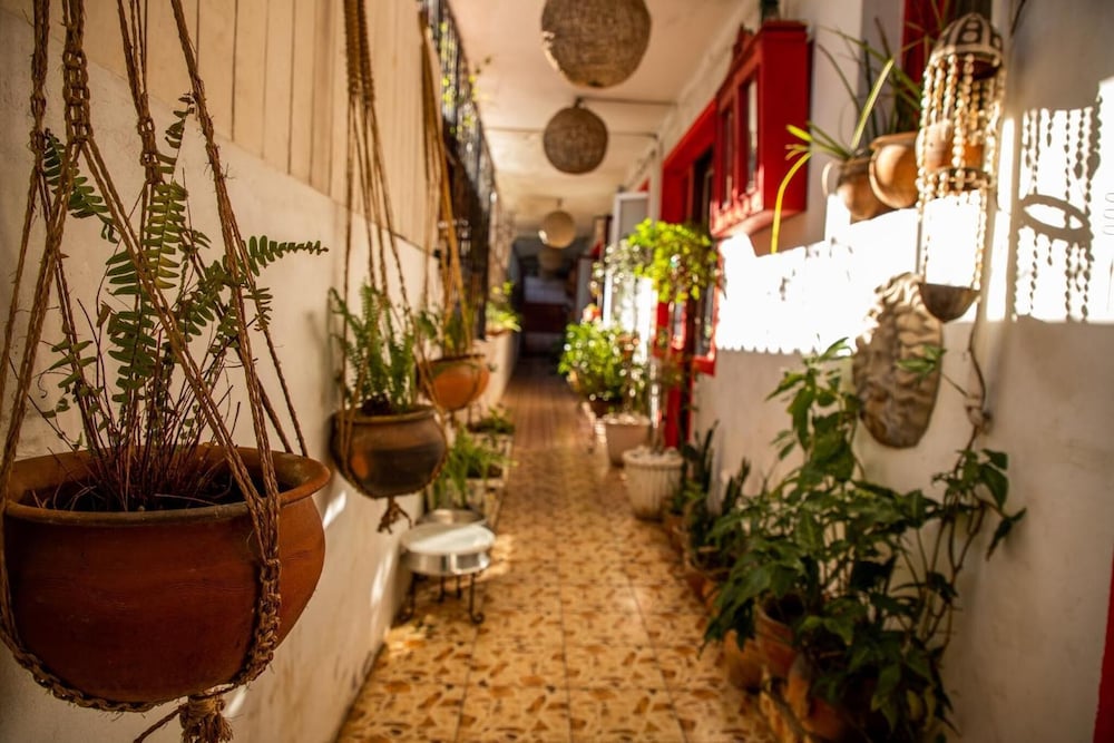 Фото Malagueta Inn