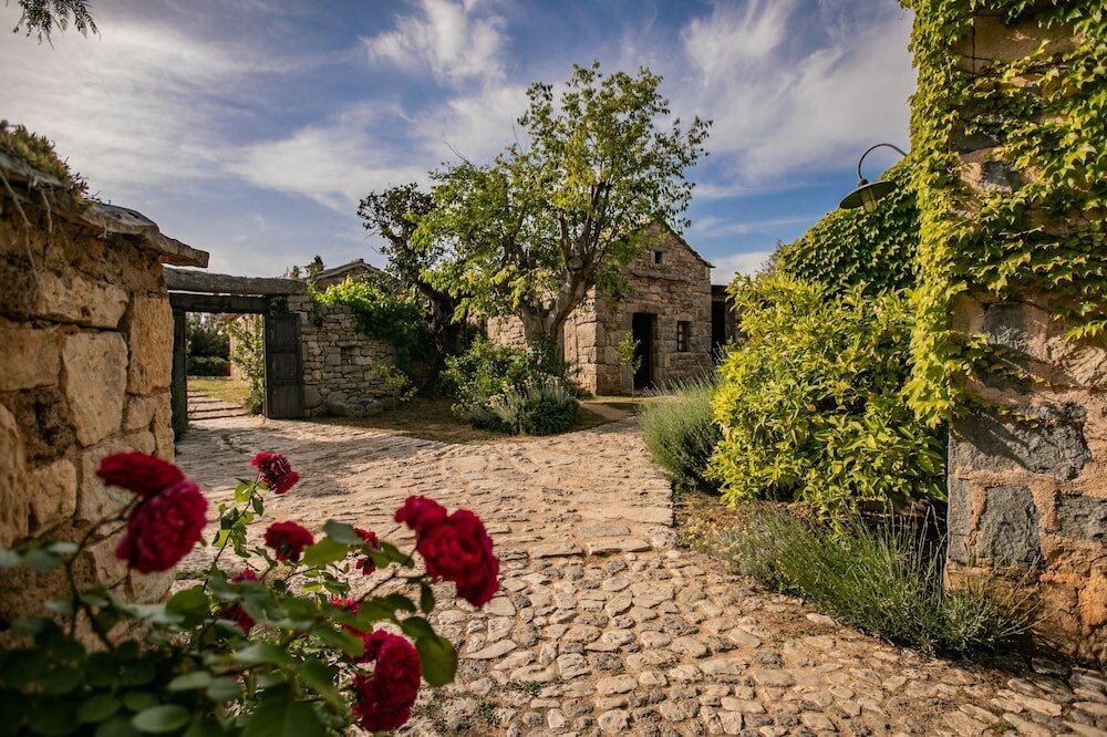 Фото 209944586057