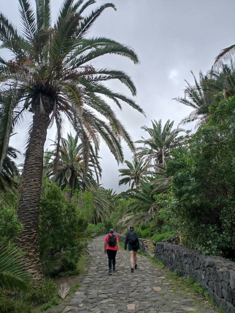 Фото Arena Nest Hostel