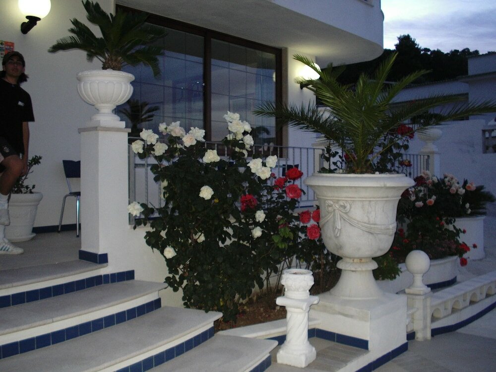 Фото Hotel Orchidea