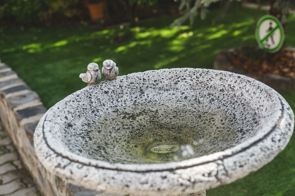 Фото Karin Hotel