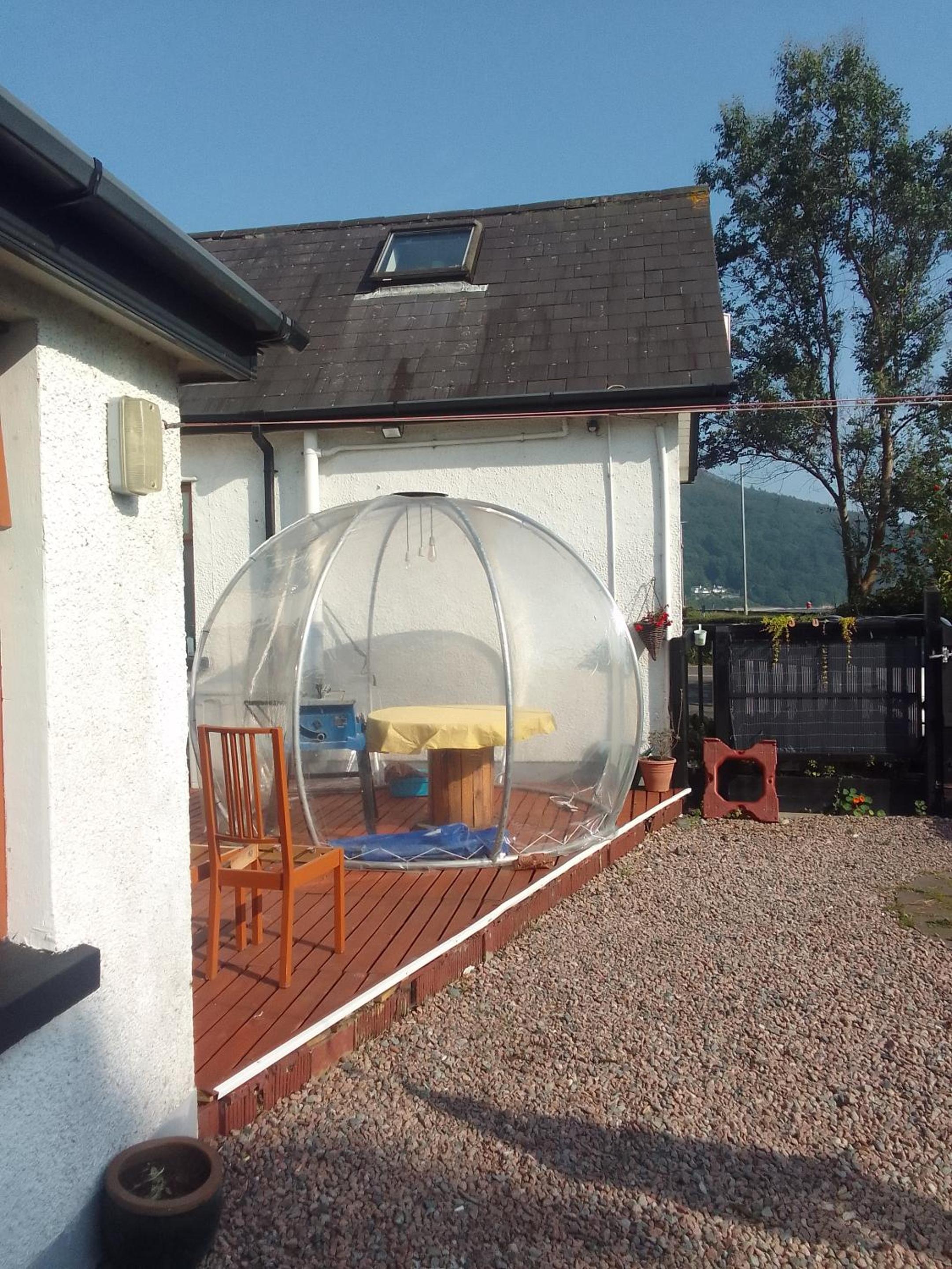 Фото The Oystercatcher