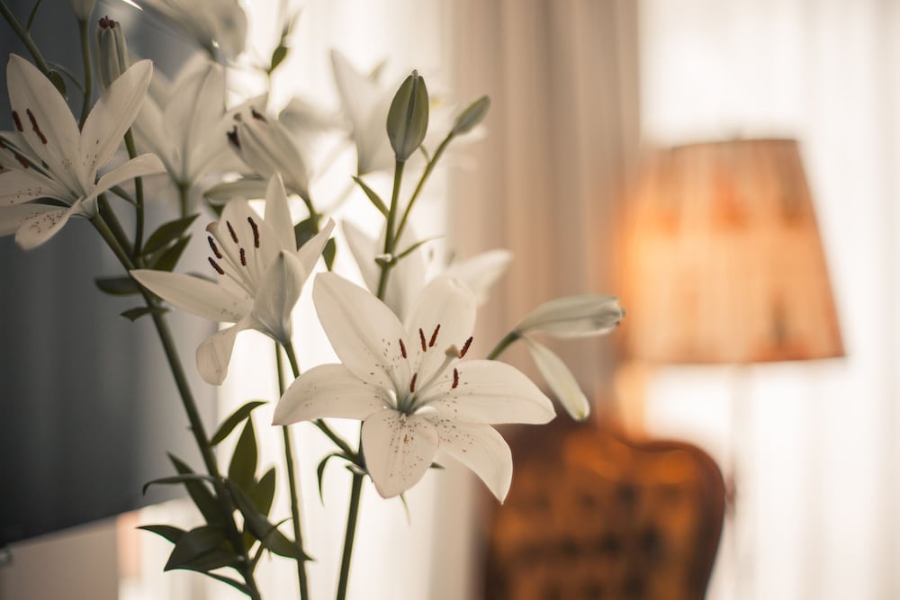 Фото Maison Marsil Boutique Hotel