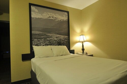 Гостиница Super 8 by Wyndham Revelstoke Bc в Ревелстоке