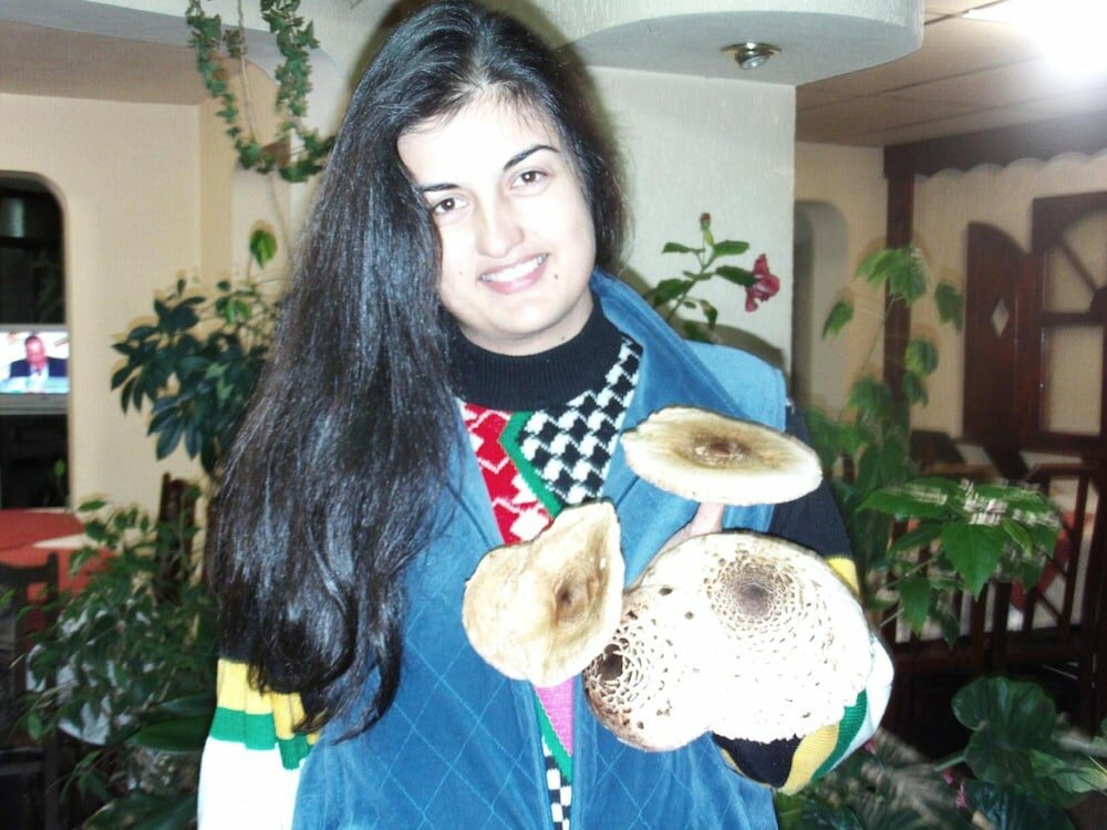 Фото Зодиак