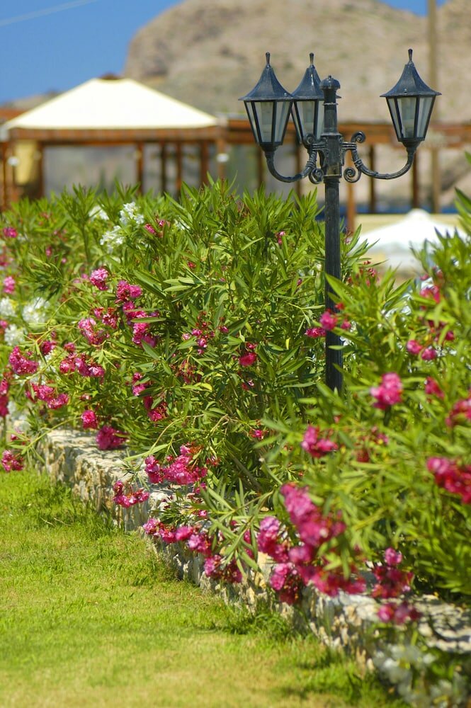 Фото Dolphin Bay Hotel