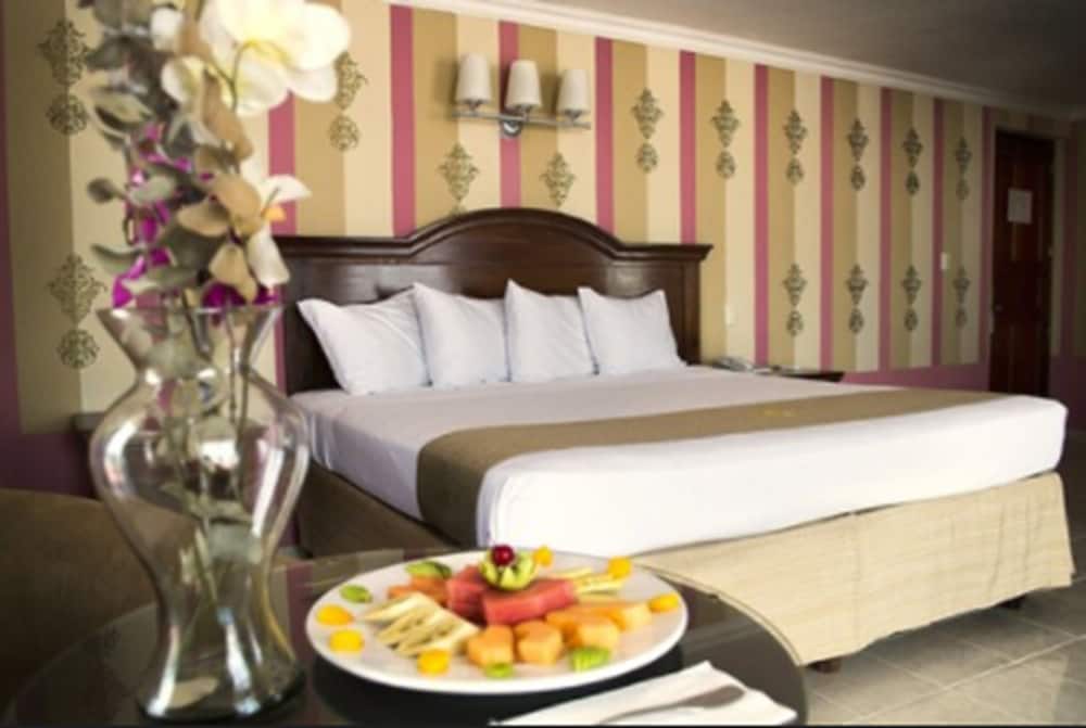 Фото Hotel Plaza Colonial