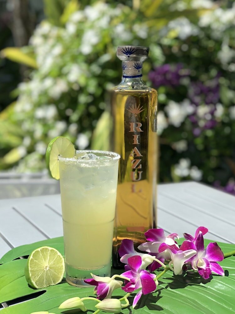 Фото Orchid Key Inn - Adults Only