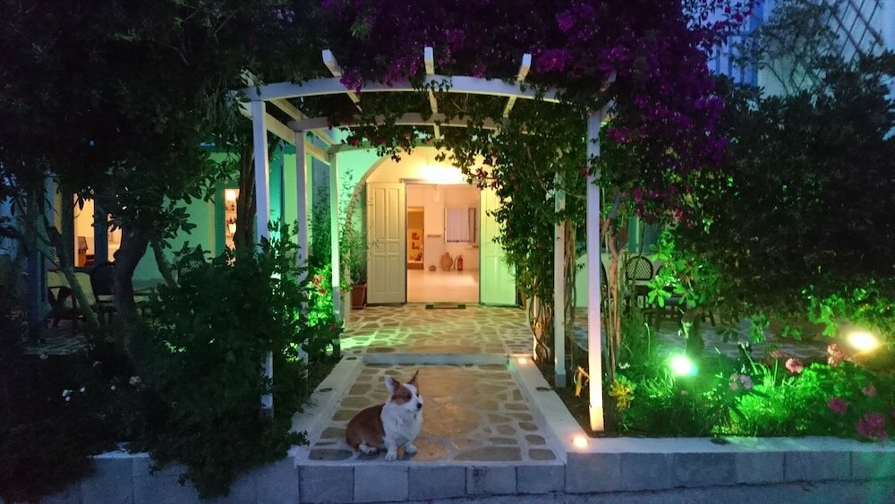 Фото Panorama Hotel