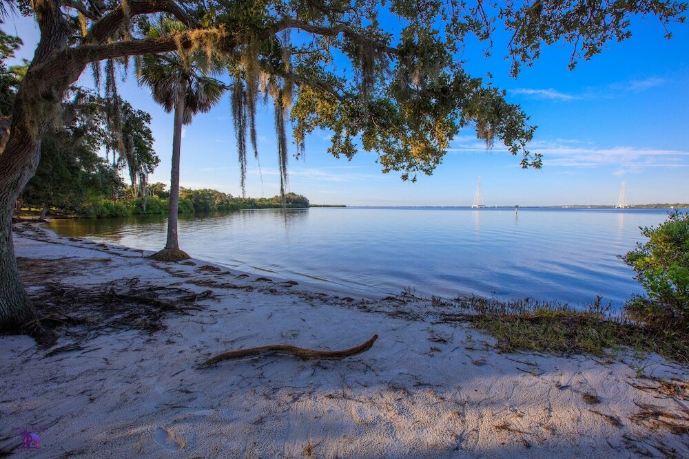 Фото Holiday Inn Express Hotel & Suites Tampa Northwest - Oldsmar, an Ihg Hotel