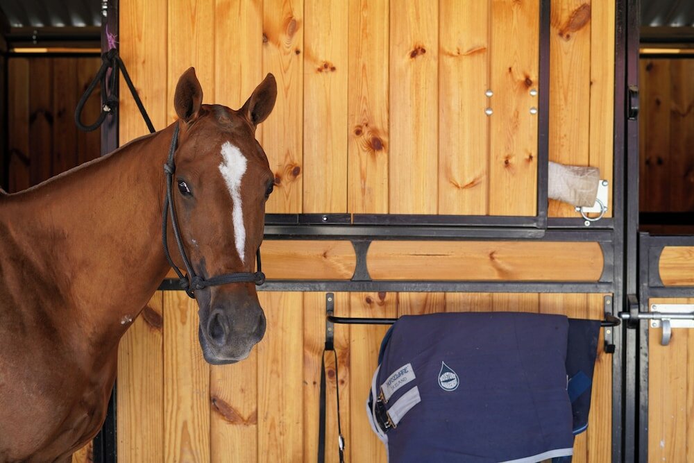 Фото Auberge du Jeu de Paume