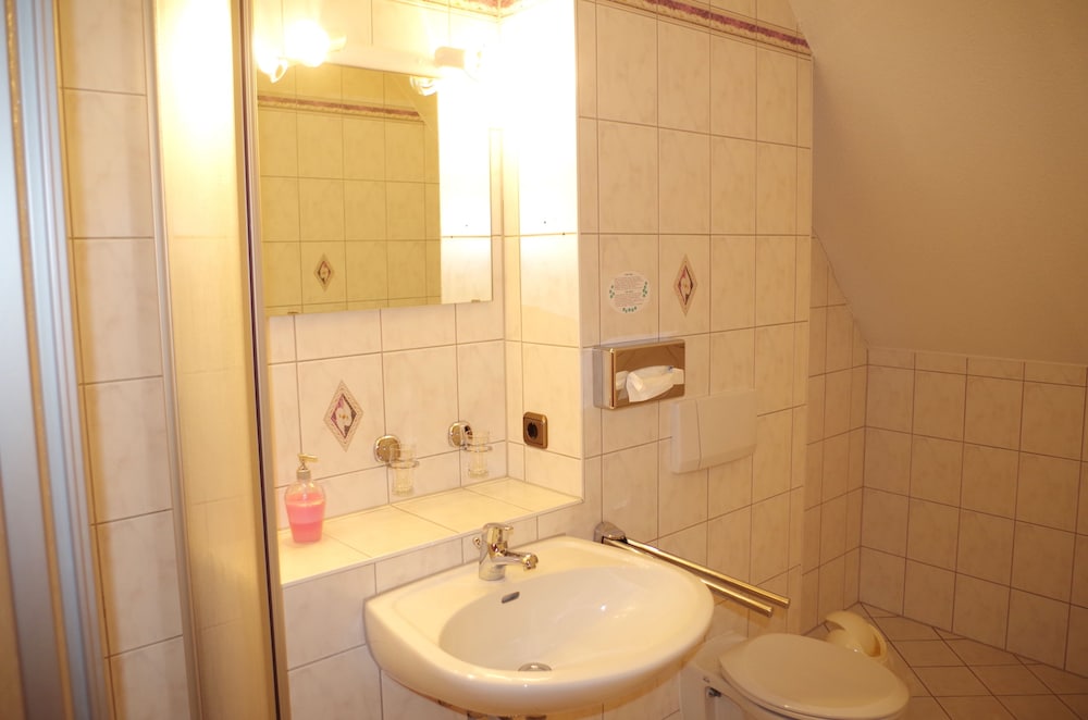 Фото Hotel Alttolkewitzer Hof Dresden