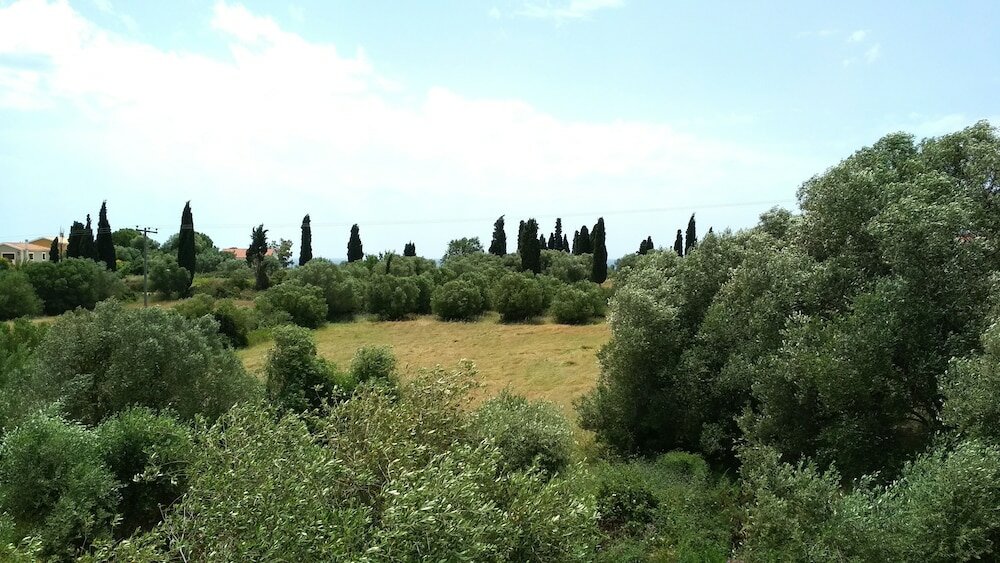 Фото Casa de Rosa Apartments