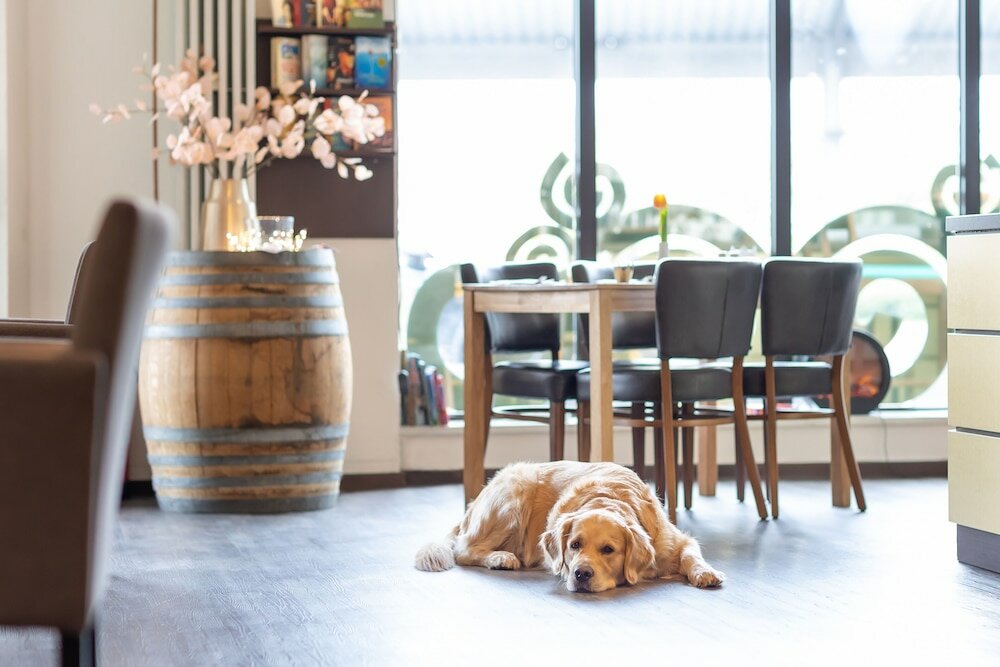 Фото Hotel Das Kronprinz