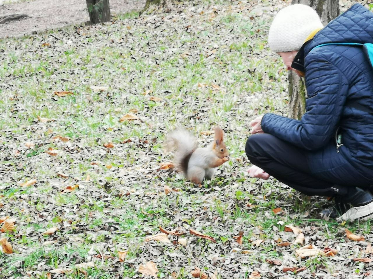 Фото Парк Шафран