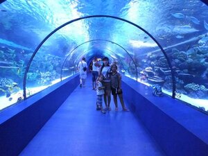 Sharjah Aquarium (1C1, Al Khan 2 Street, Al Khan, Al Khalidiah, Sharjah), oceanarium