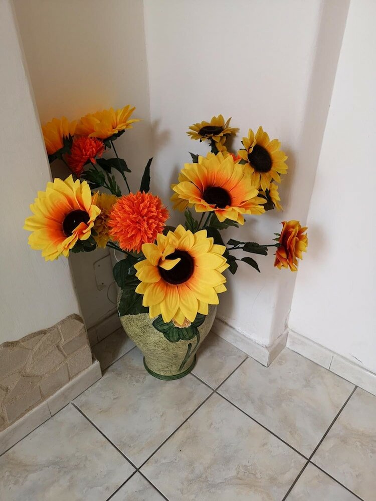 Фото B&b Casa Valeria