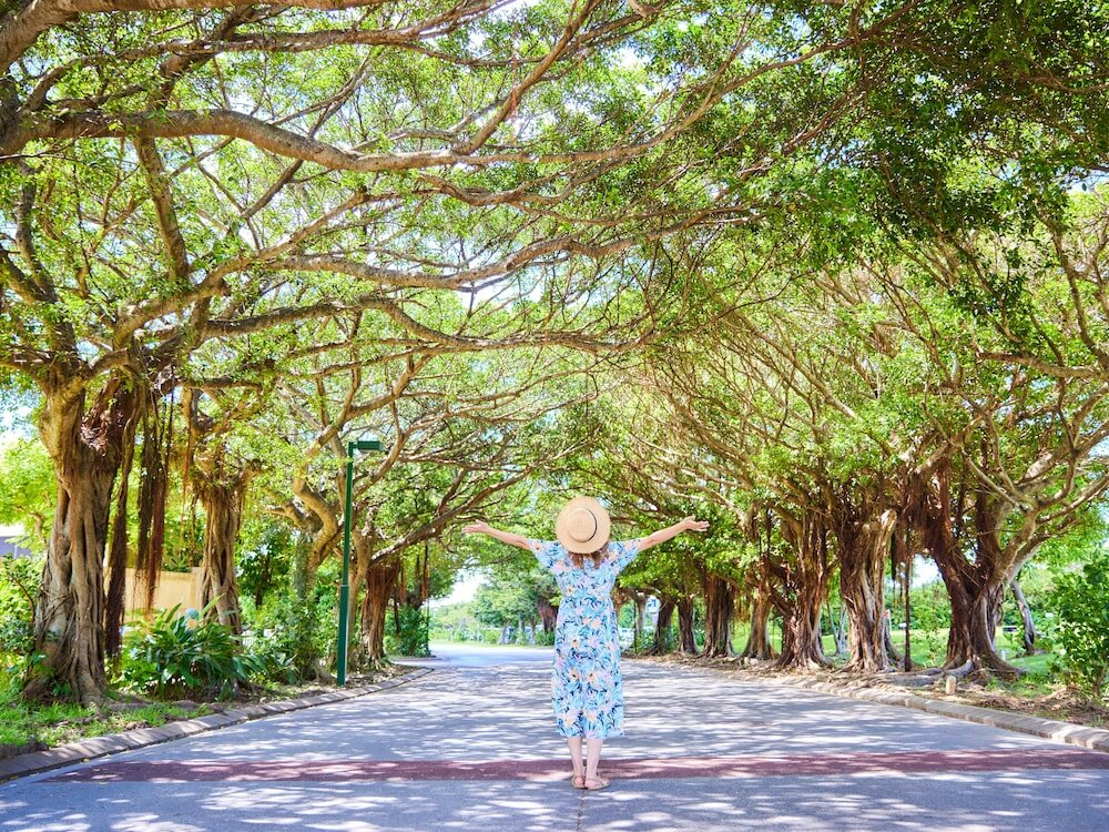 Фото Hotel Nikko Alivila Yomitan Resort Okinawa