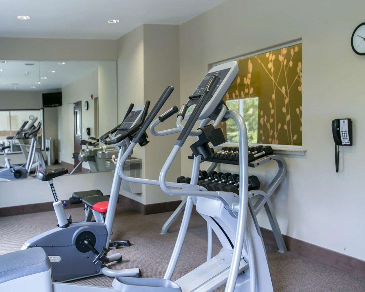 Фото Sleep Inn & Suites Round Rock - Austin North