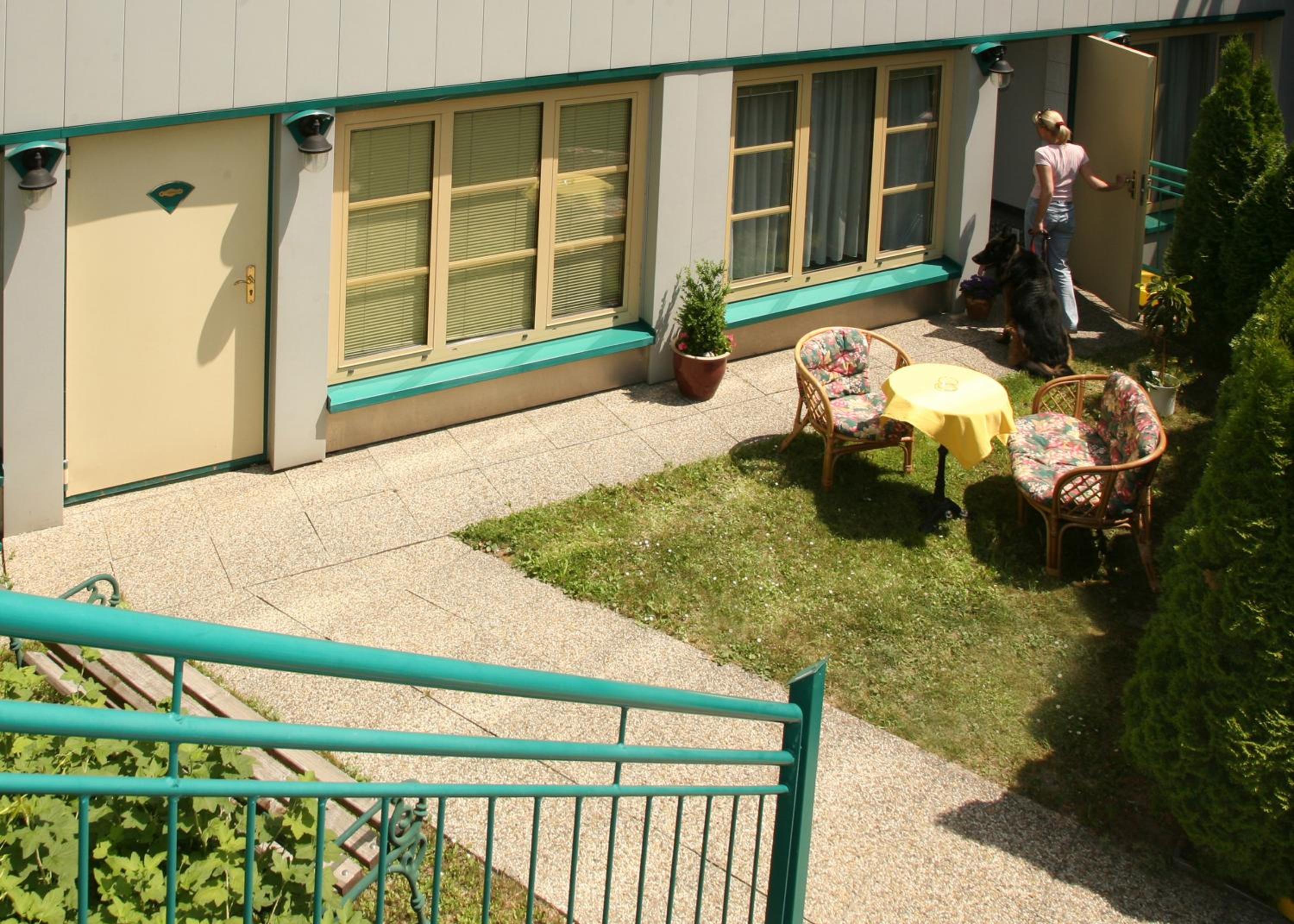 Фото Asperner Löwe