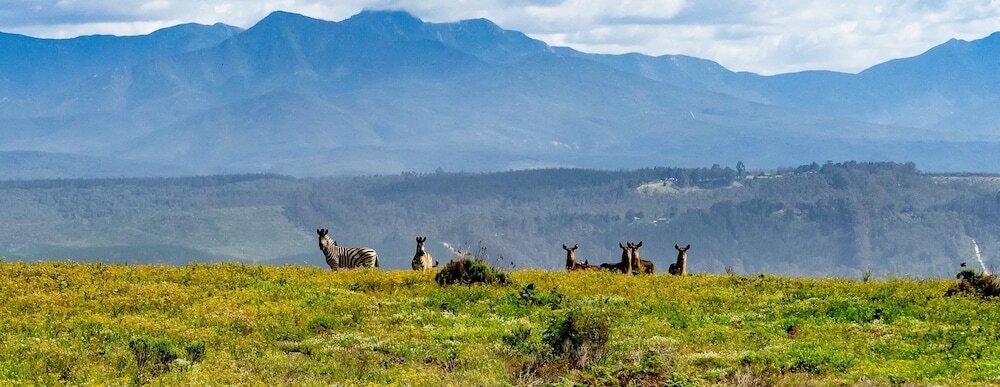 Фото Simbavati Fynbos on Sea