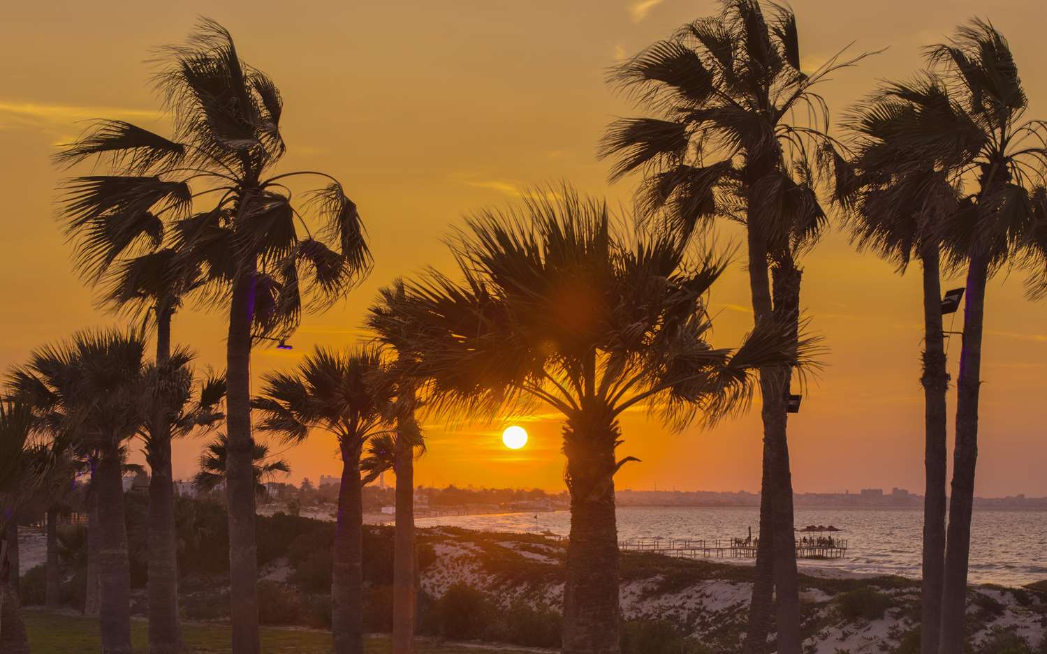 Фото Hilton Skanes Monastir Beach Resort