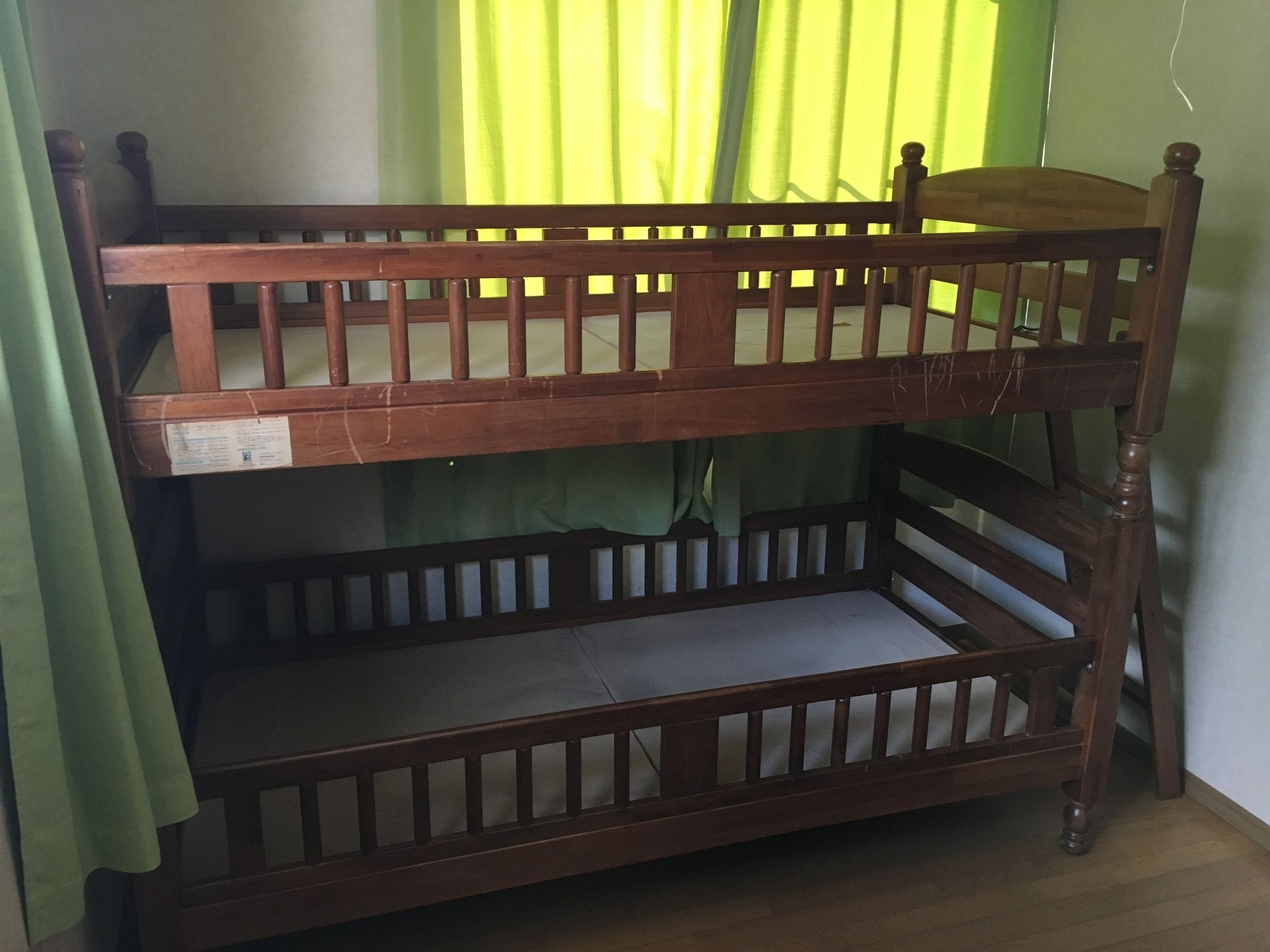 Фото Lupinus Kawaguchiko