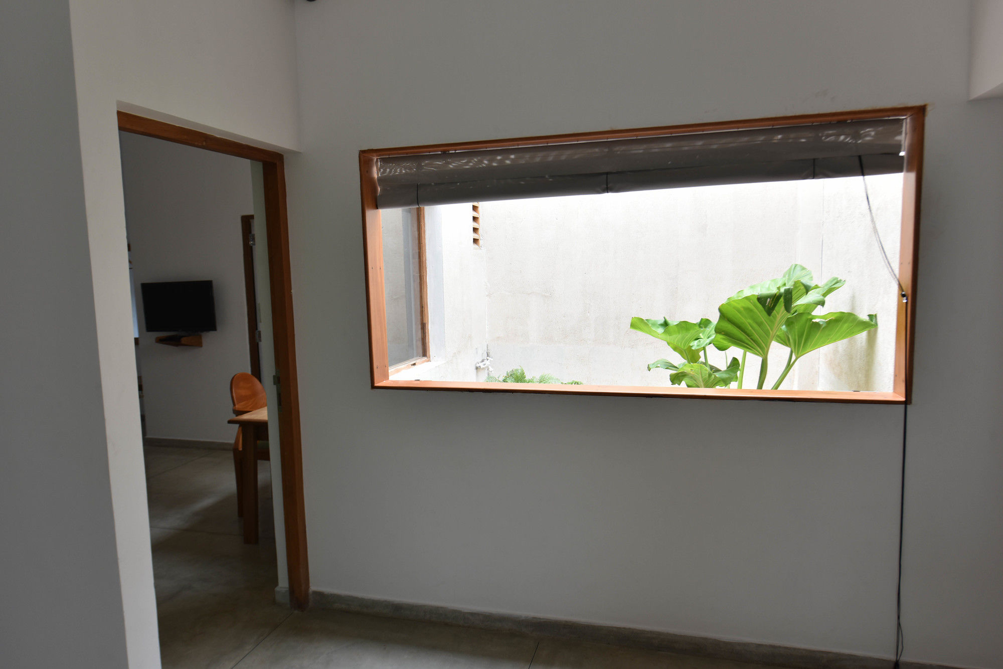 Фото Moss Colombo