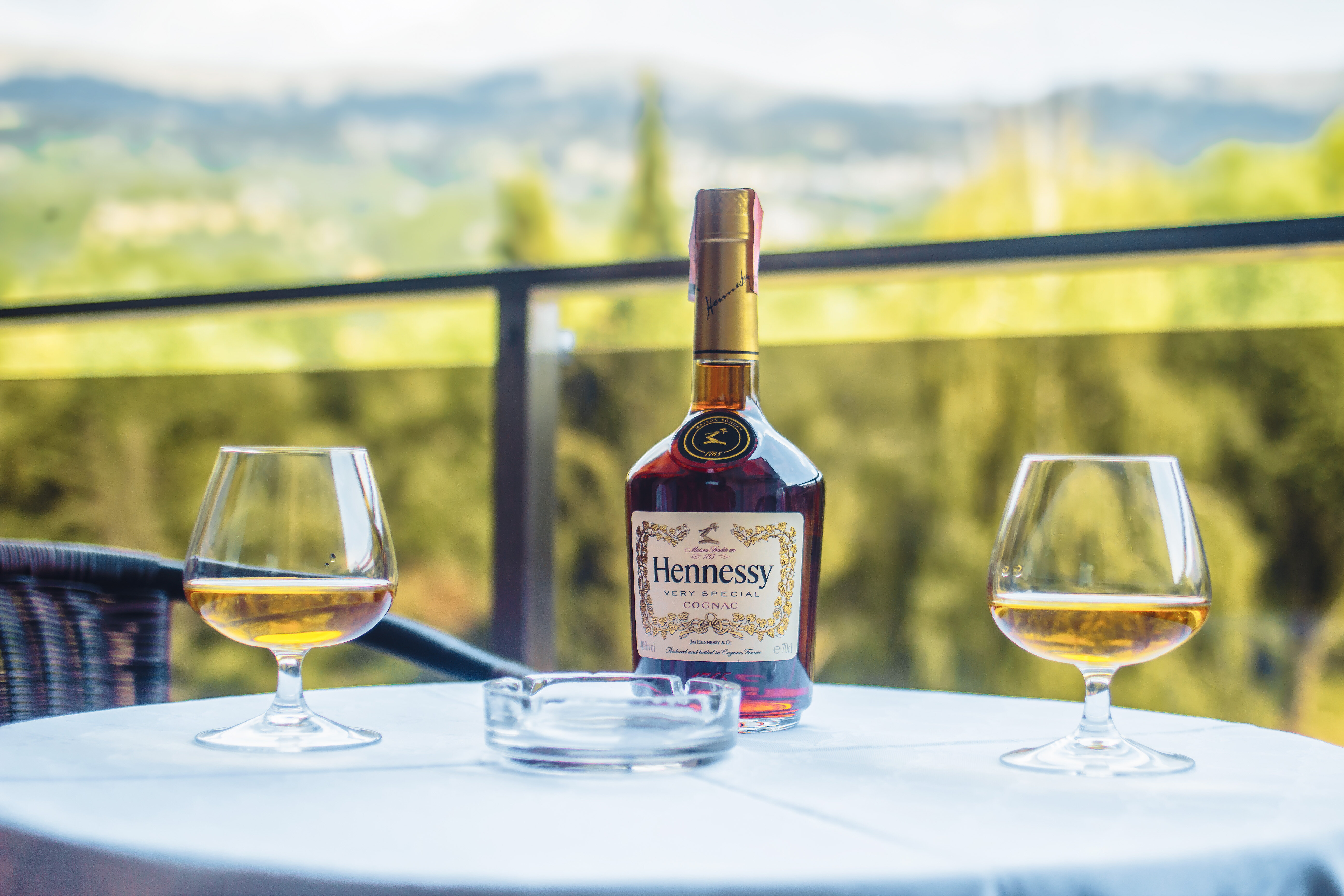 Фото Park Lakeside Ohrid