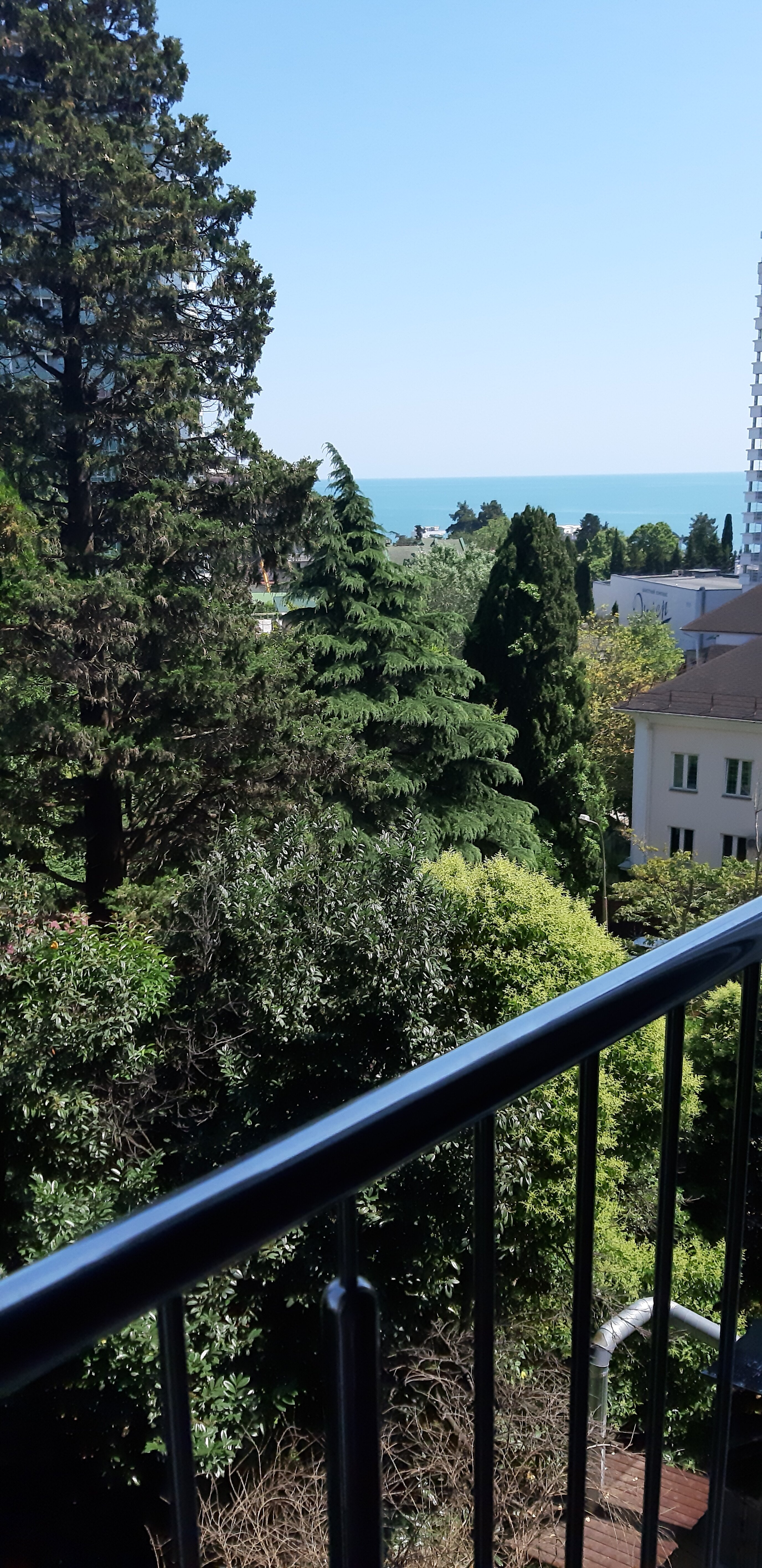 Фото Мира на Курортном