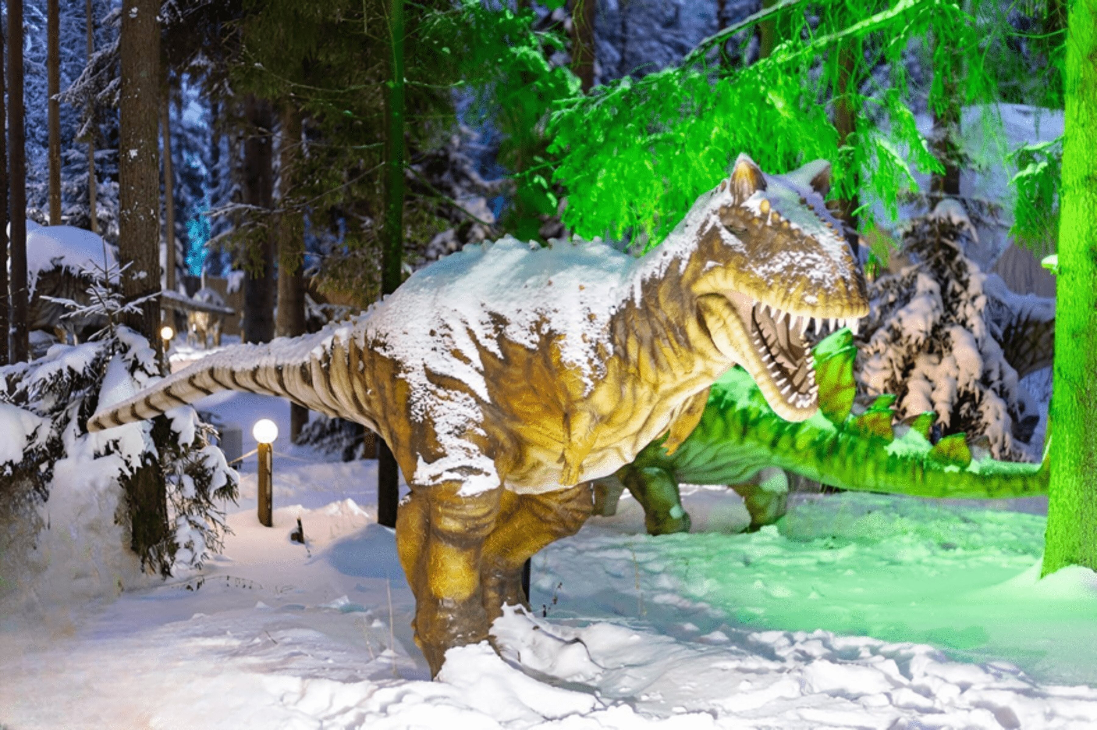 Фото Ваш образ жизни