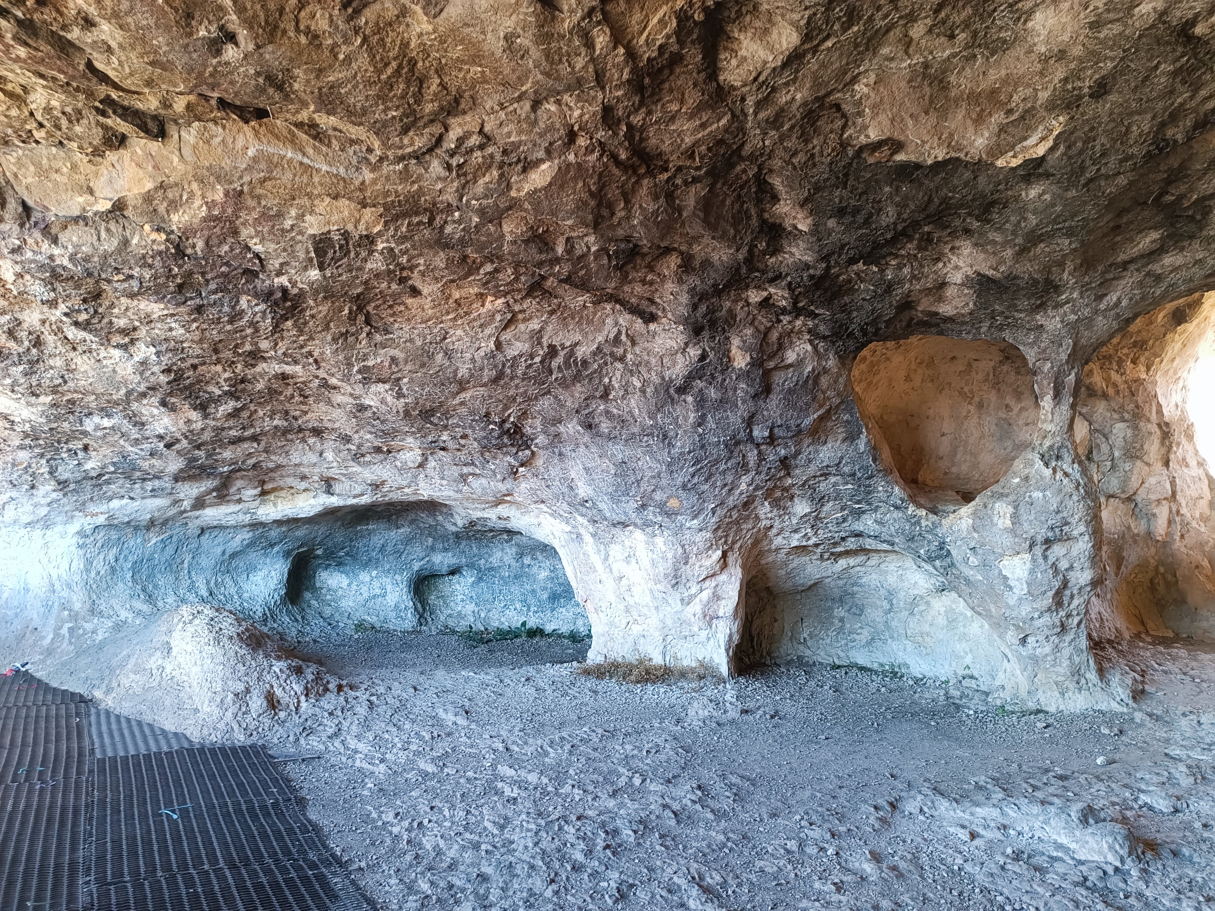 Фото Денница