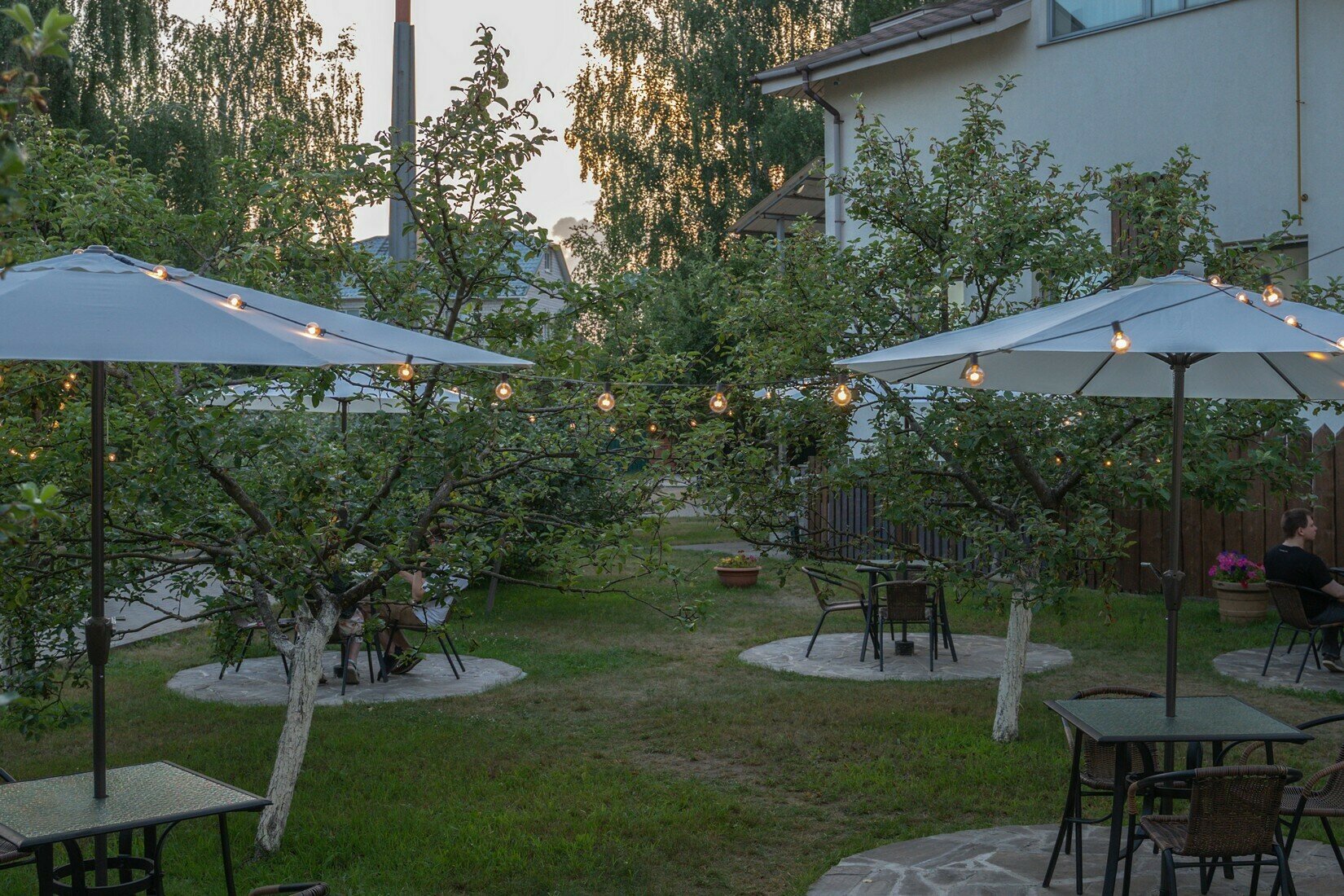 Фото Аристократ