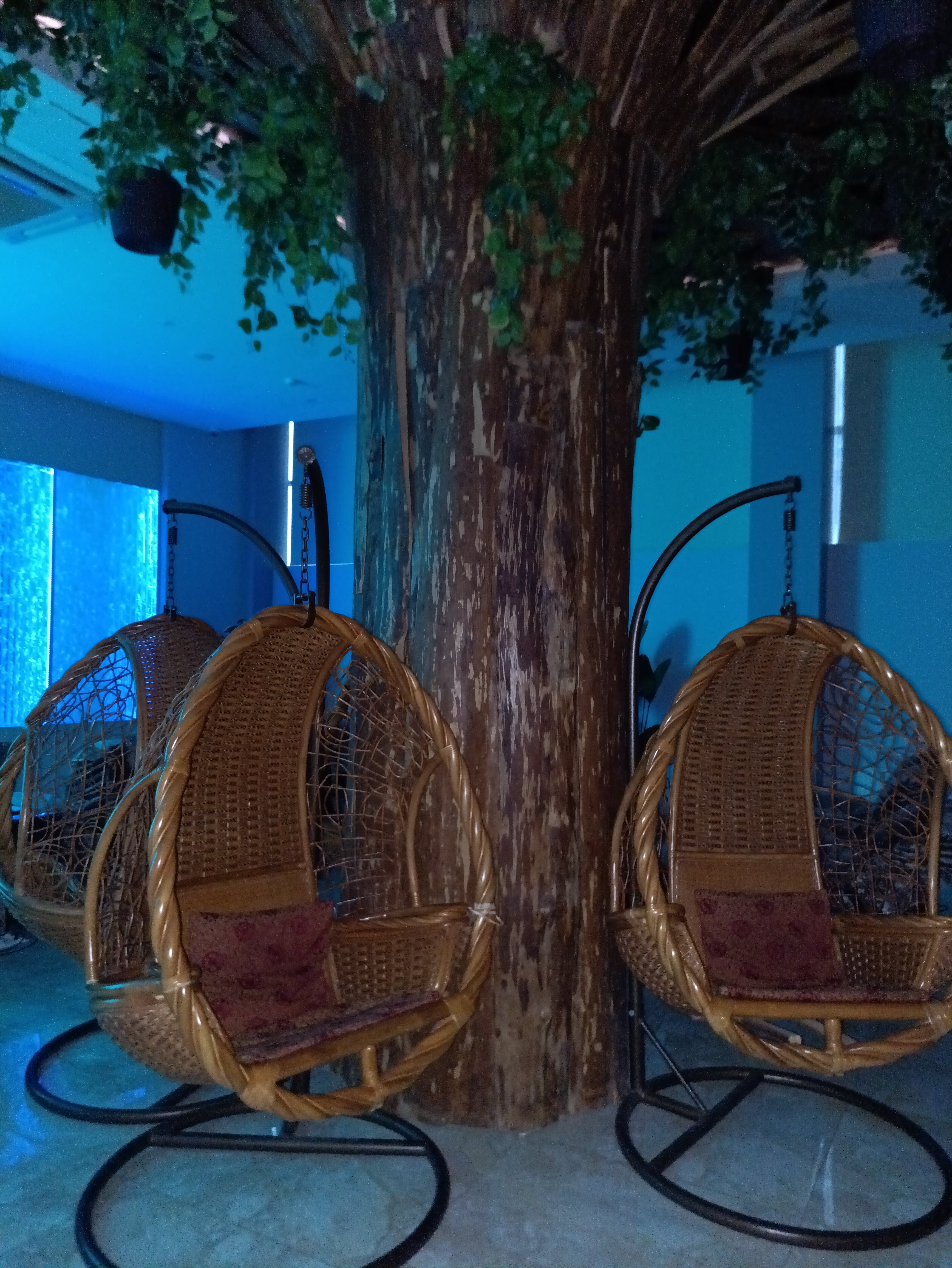 Фото Grand SPA Hotel Avax