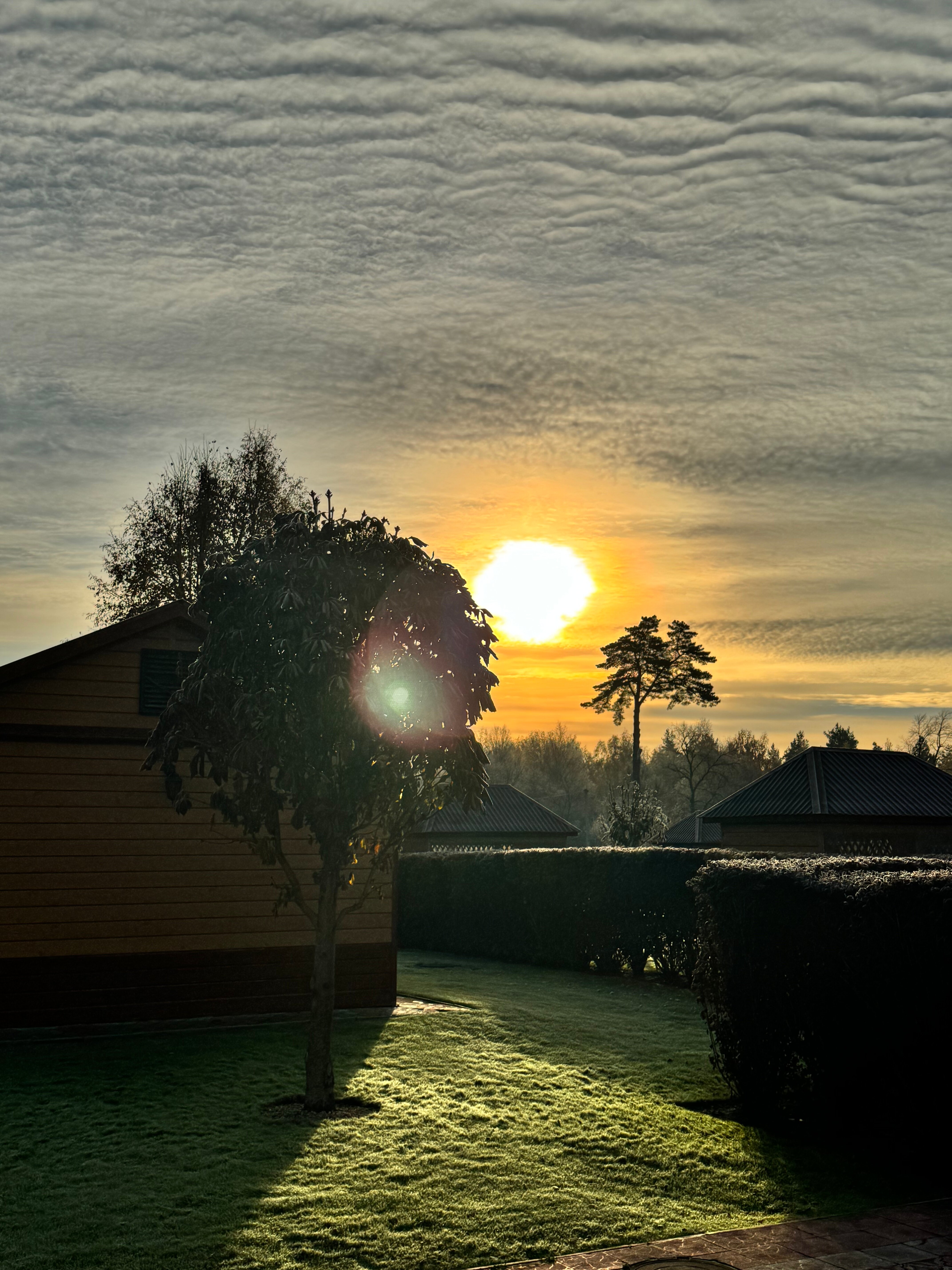 Фото Д-град