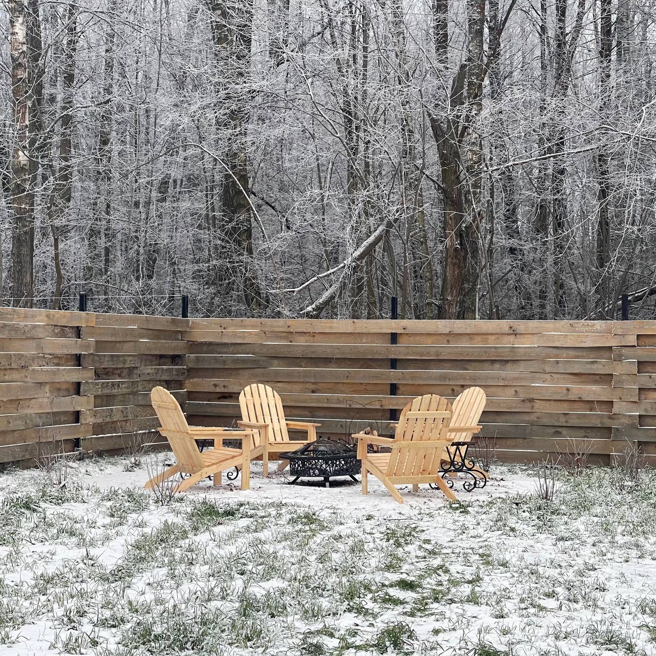 Фото Звёзды леса