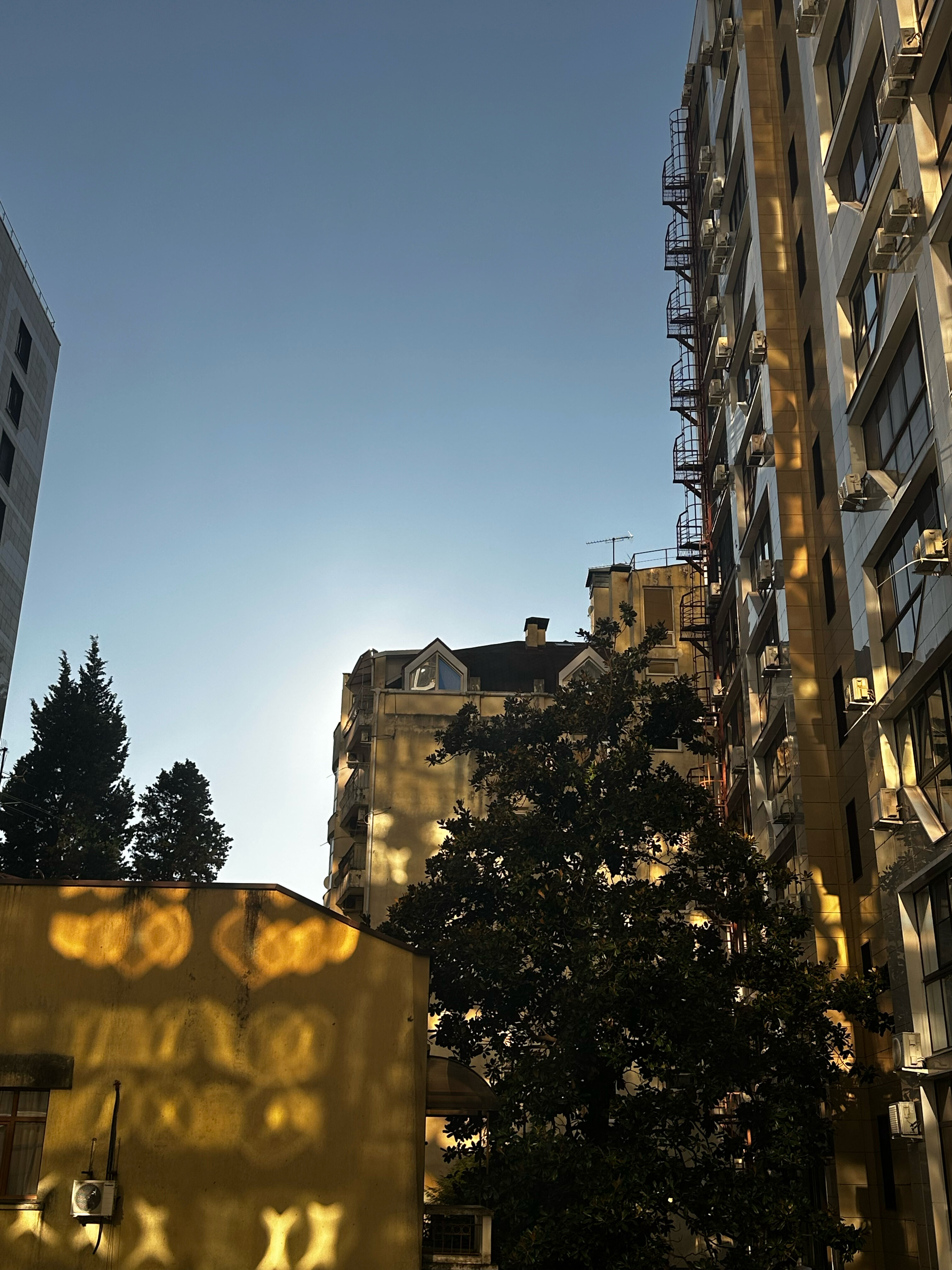 Фото Rose Del Mare