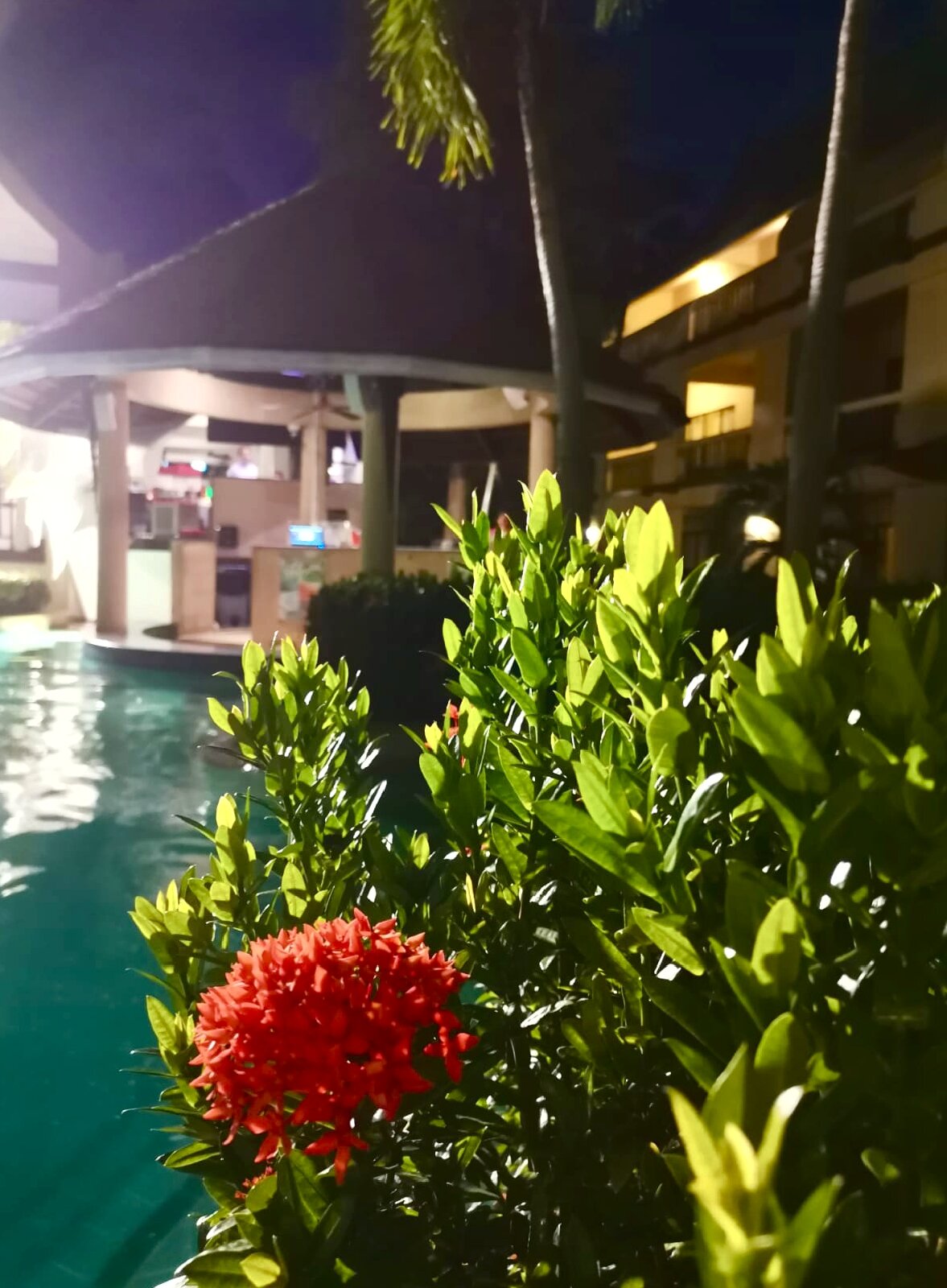 Фото Centara Kata Resort Phuket