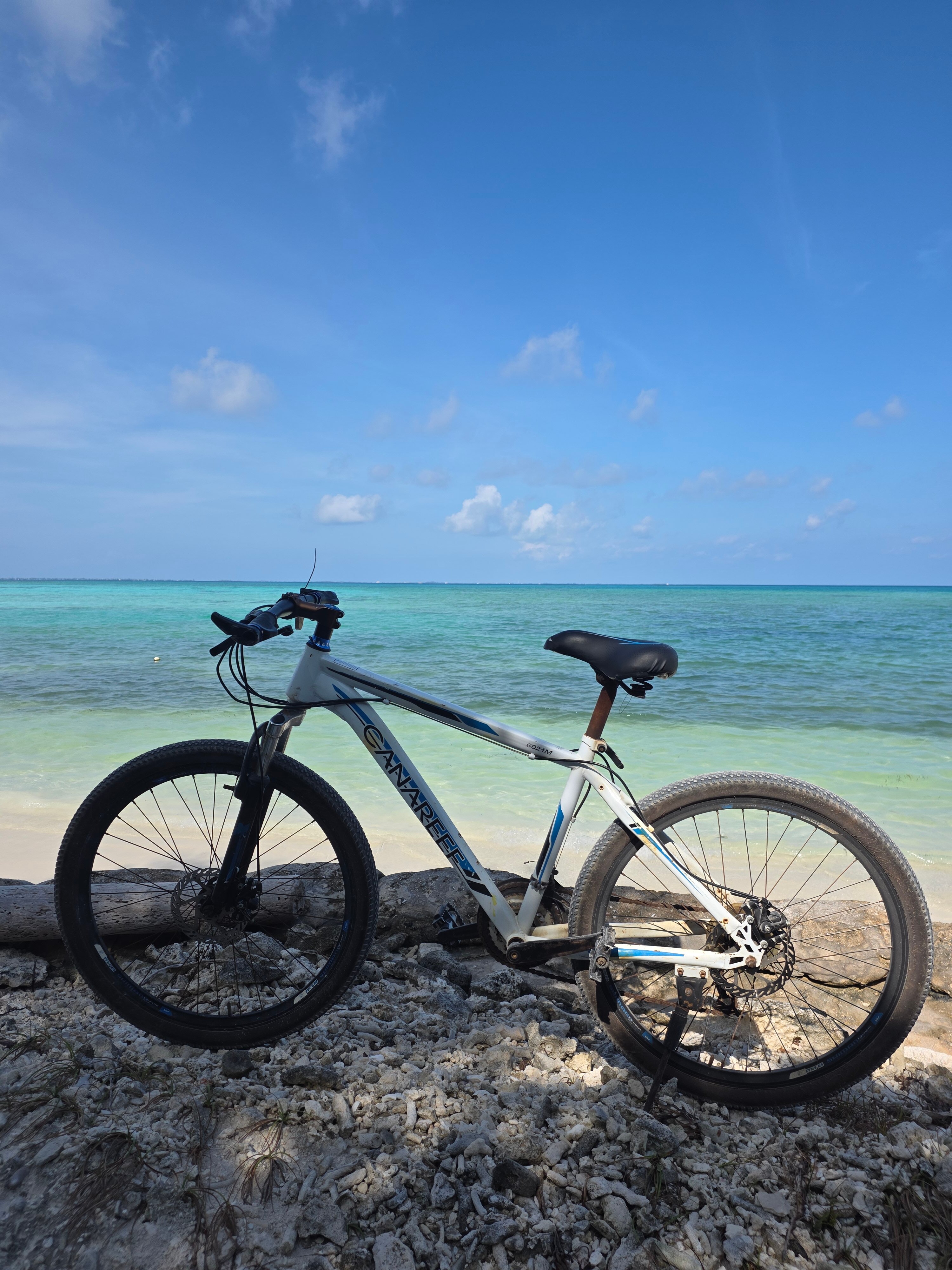 Фото Canareef Resort Maldives