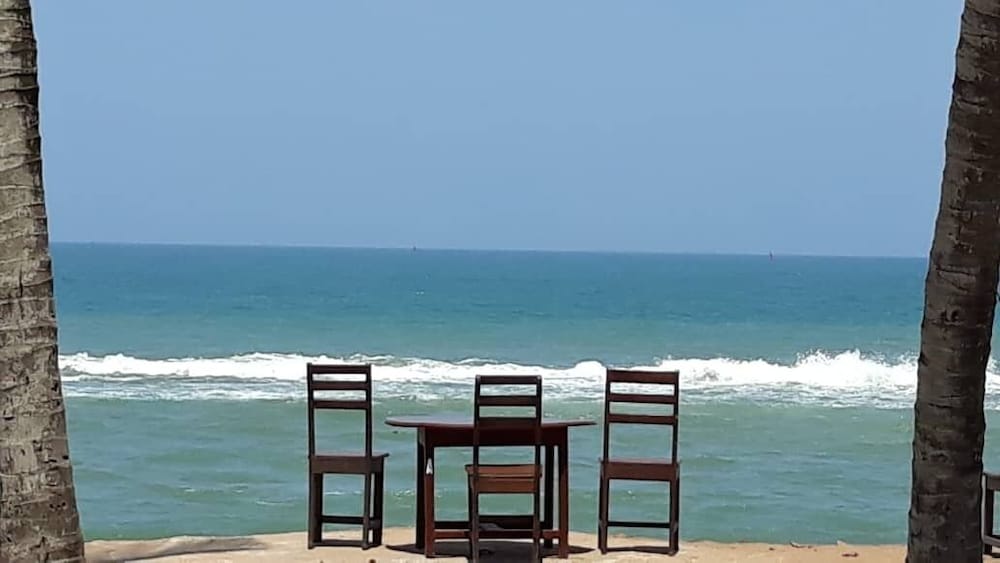 Фото New Robinson Plage