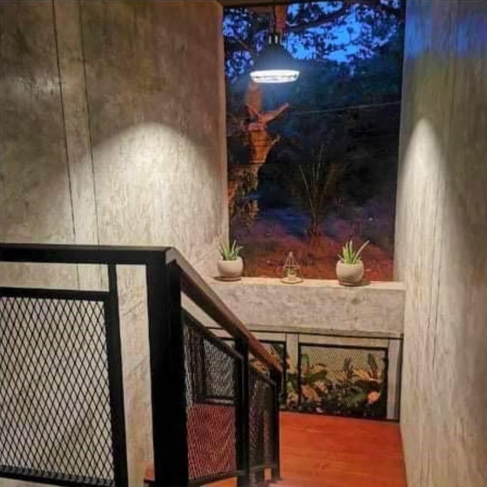 Фото Busaba House