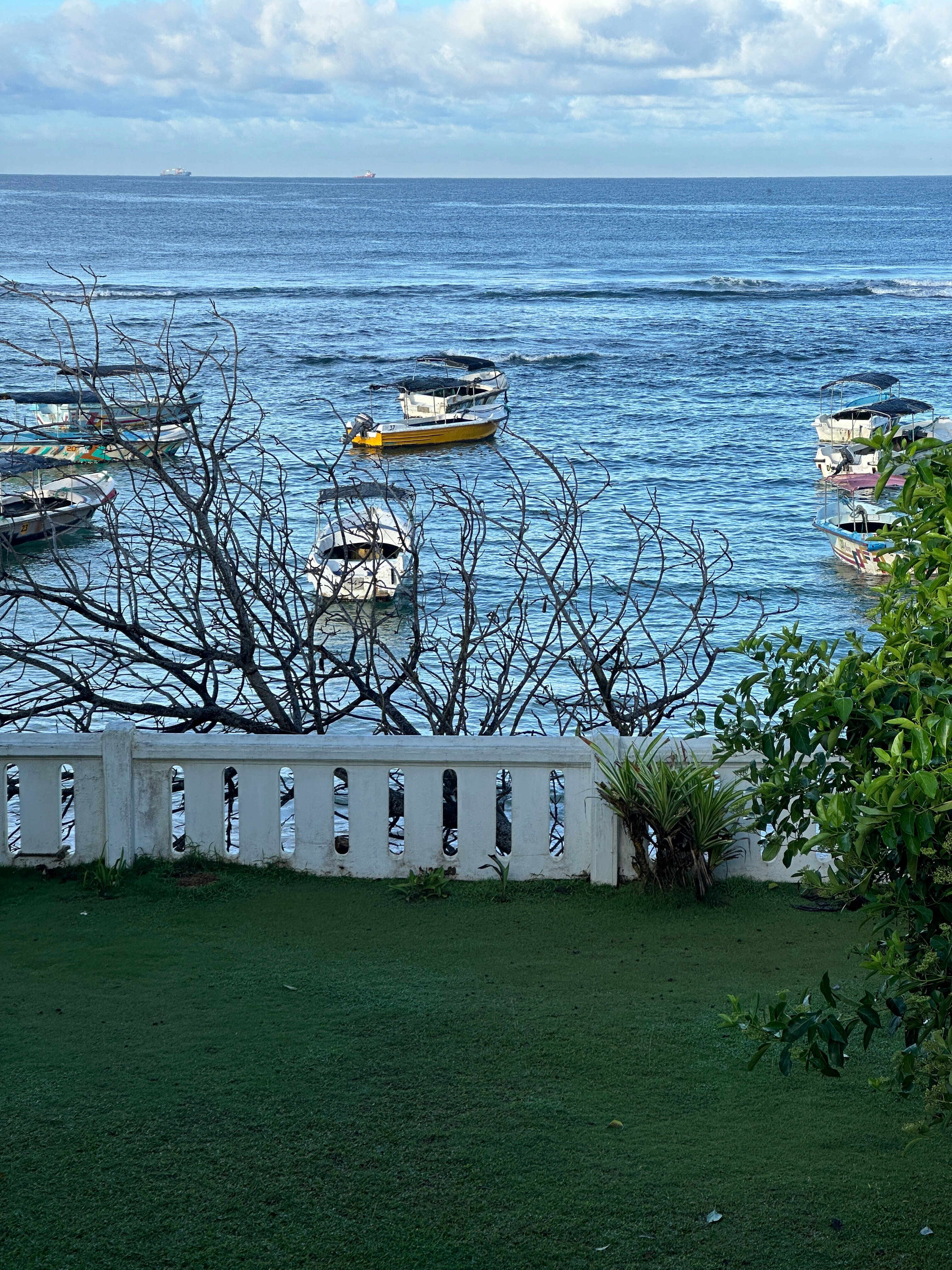 Фото Coral Sands Hotel