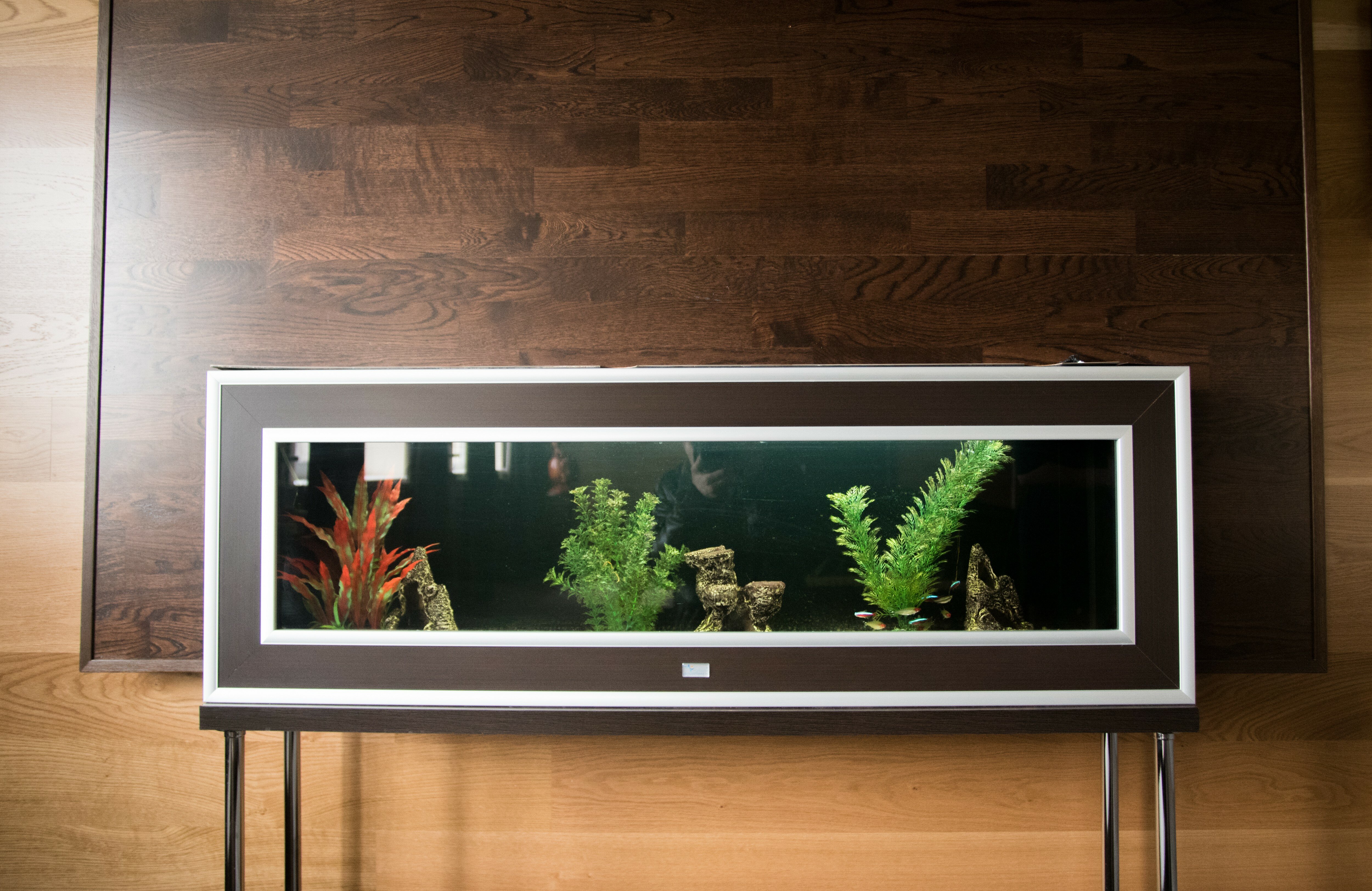 Фото Южная ночь