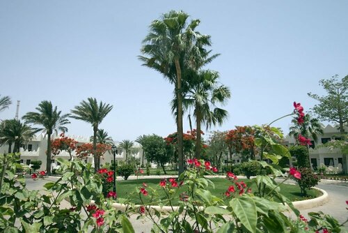 Гостиница Swiss Inn Resort Dahab в Дахабе