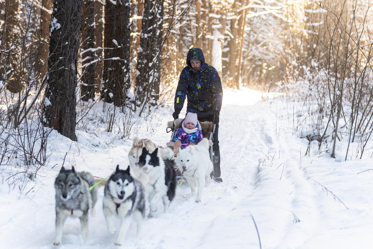 Фото Санаторий-профилакторий Дюжонок