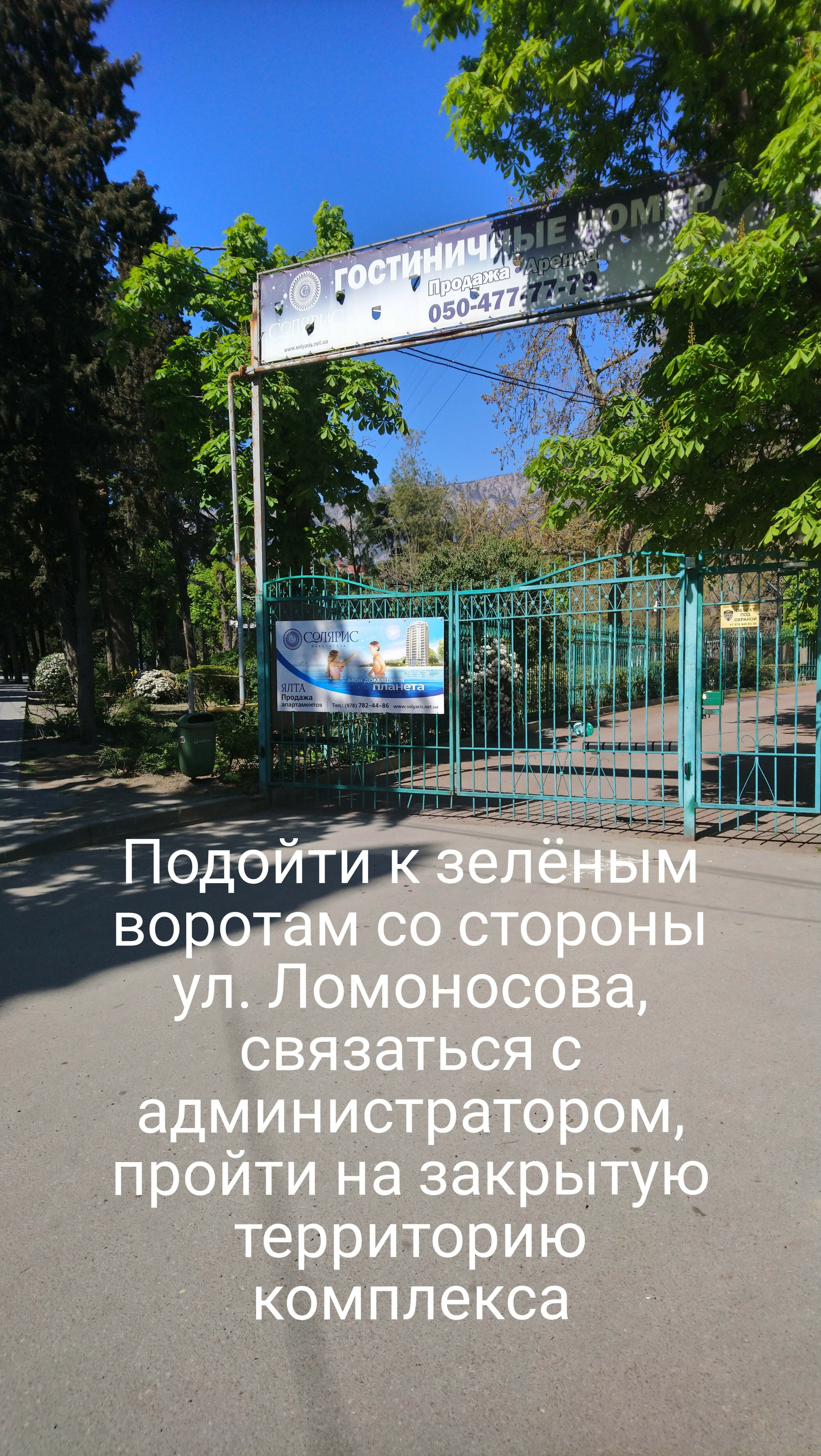Фото Апартаменты Солярис