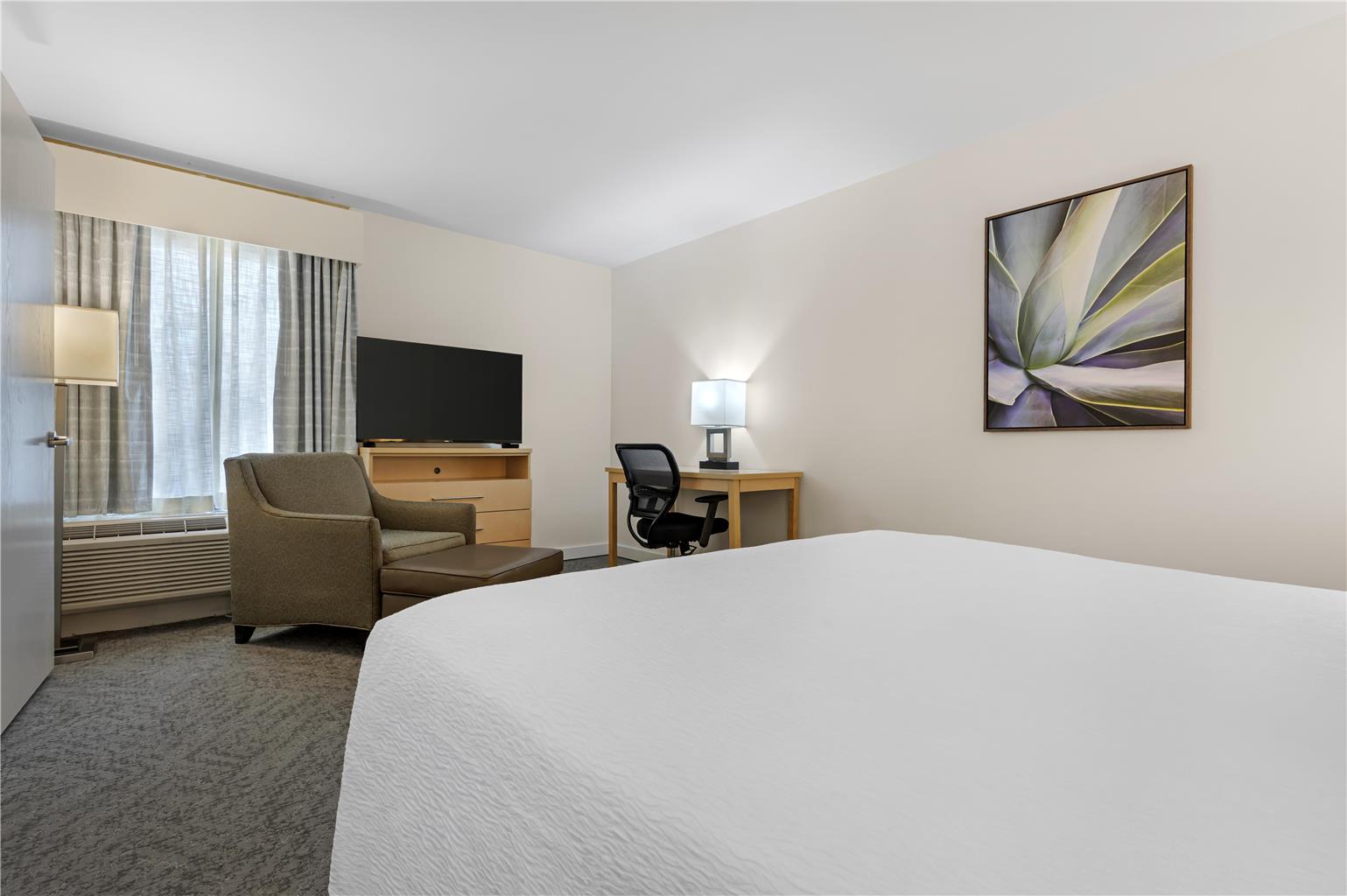 Фото Best Western Plus South Coast Inn